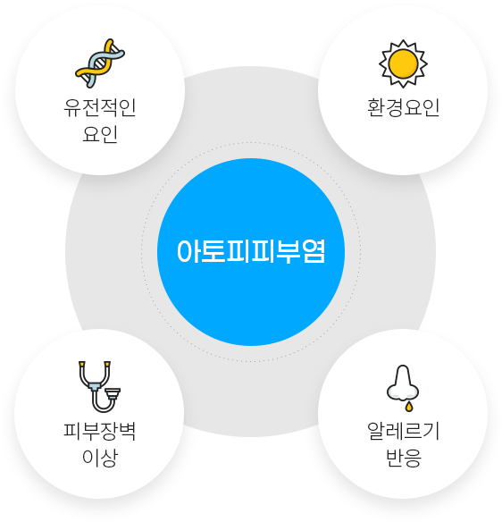 아토피피부염 다이어그램