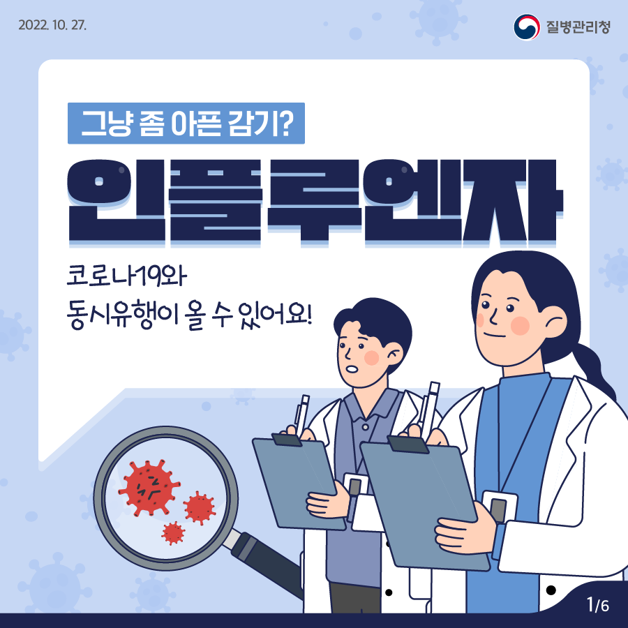 알레르기 뉴스