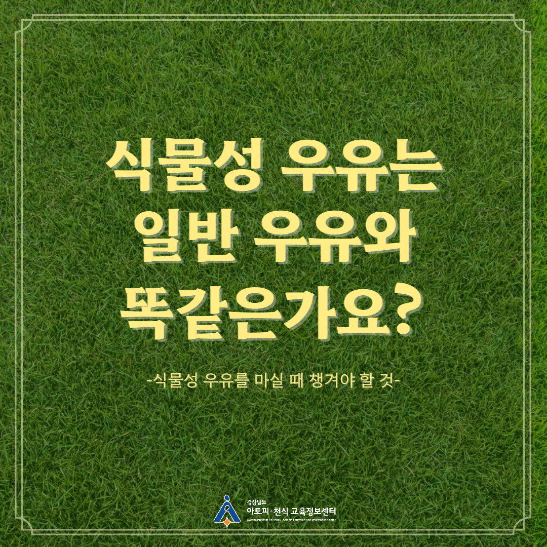 알레르기 뉴스