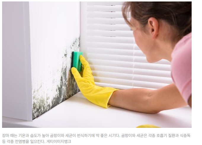 알레르기 뉴스