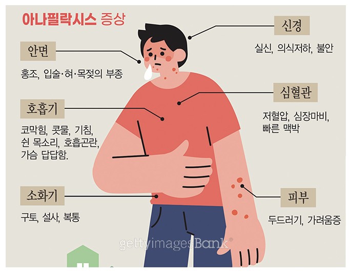 알레르기 뉴스
