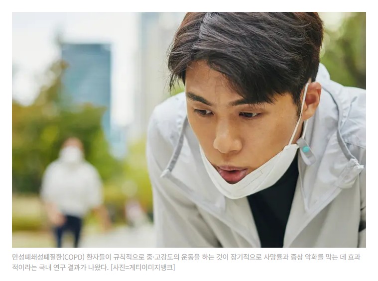 알레르기 뉴스
