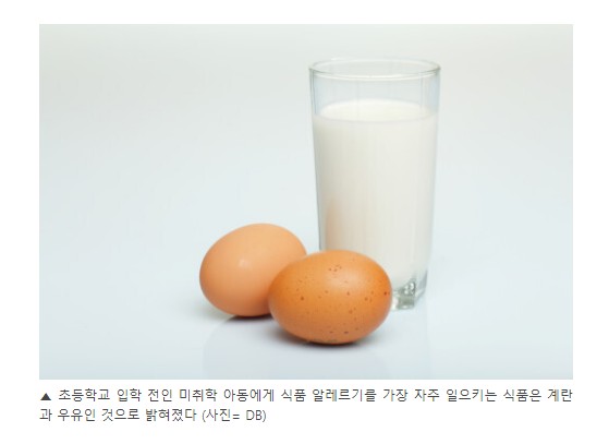 알레르기 뉴스