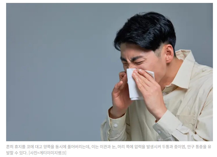 알레르기 뉴스