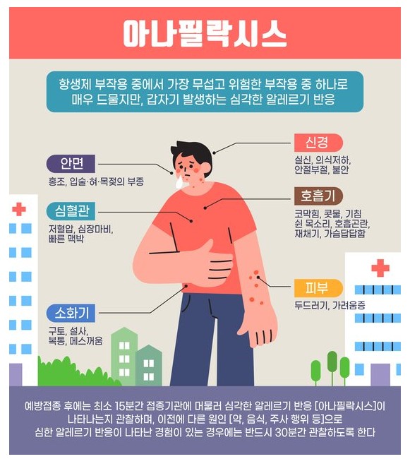 알레르기 뉴스