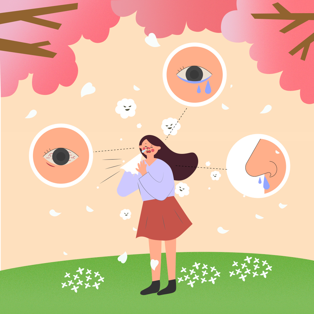 알레르기 뉴스