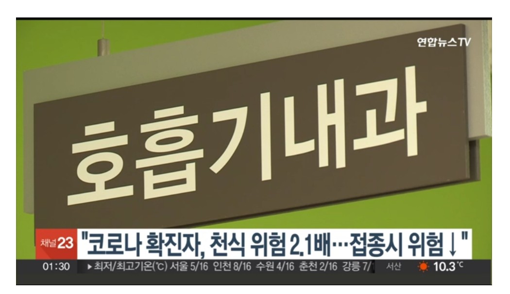 알레르기 뉴스