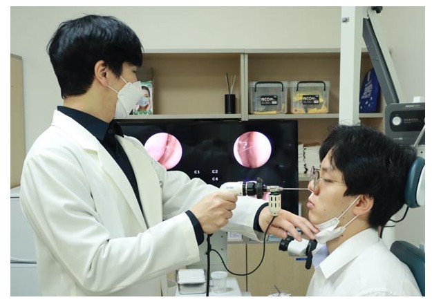 알레르기 뉴스