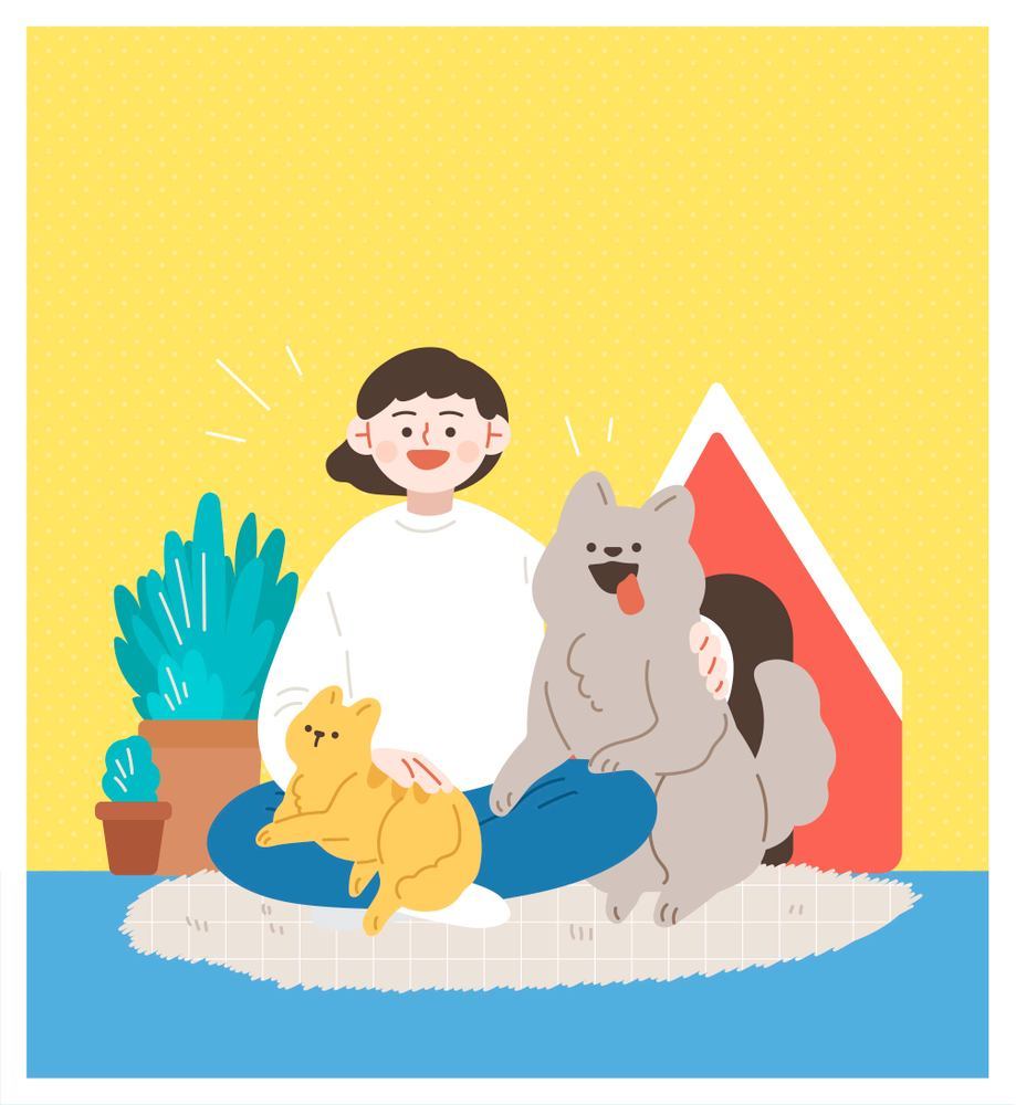 알레르기 뉴스