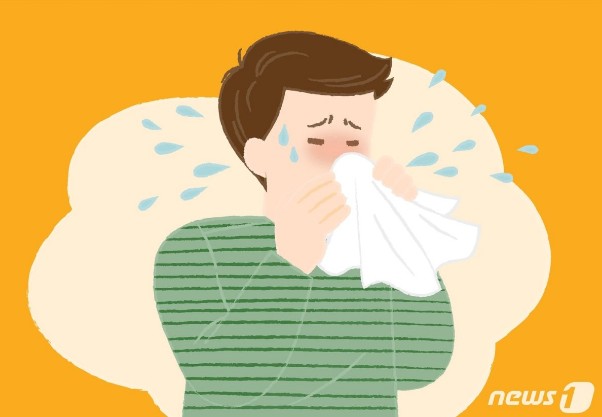 알레르기 뉴스