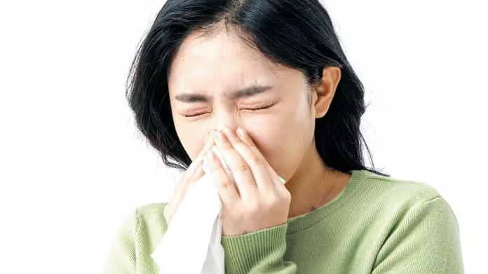 알레르기 뉴스