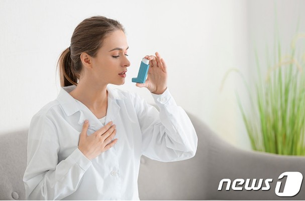 알레르기 뉴스