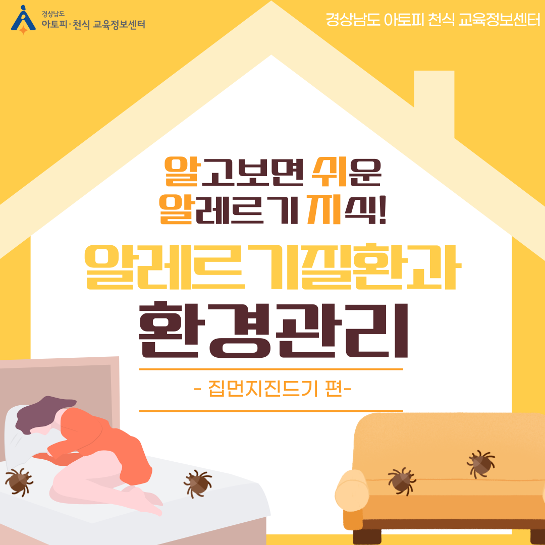 알레르기 뉴스
