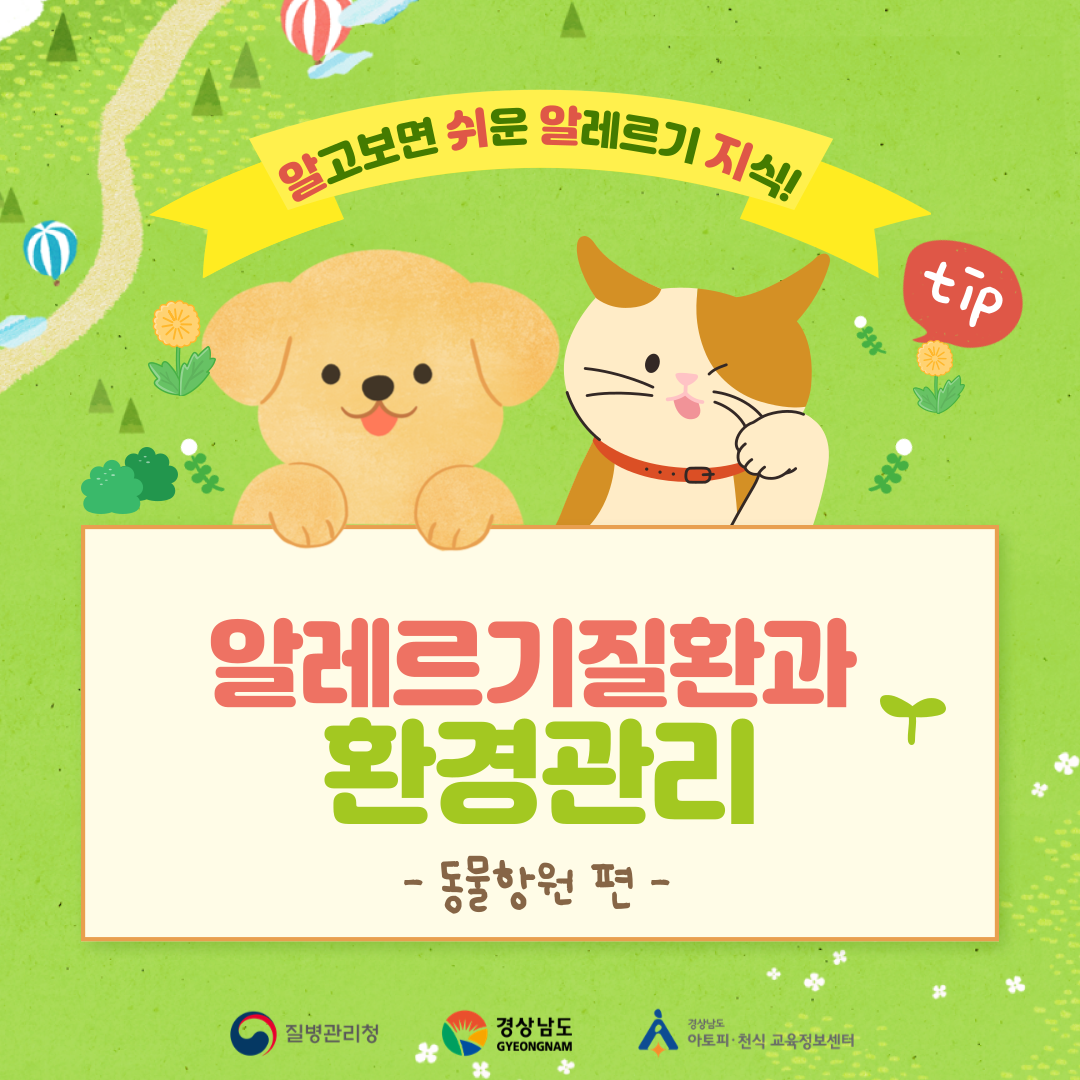 알레르기 뉴스