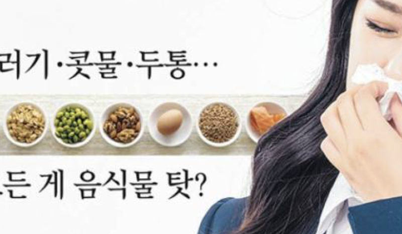 알레르기 뉴스