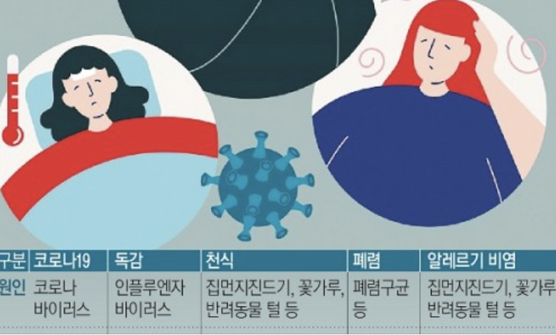 알레르기 뉴스