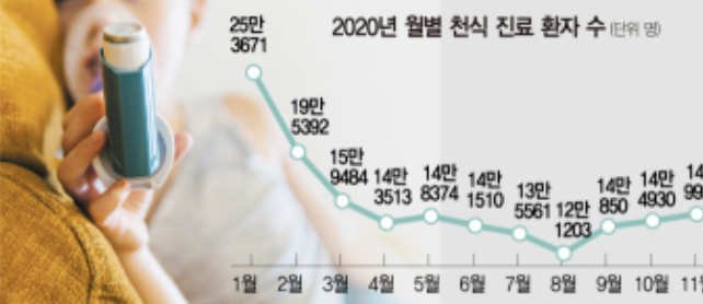 알레르기 뉴스