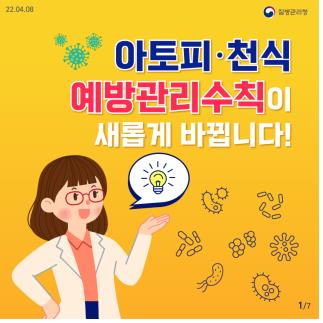 알레르기 뉴스