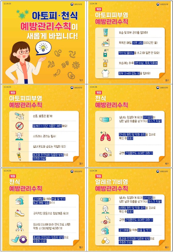 알레르기 뉴스