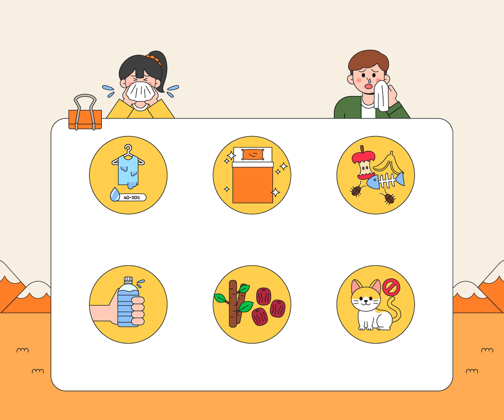 알레르기 뉴스