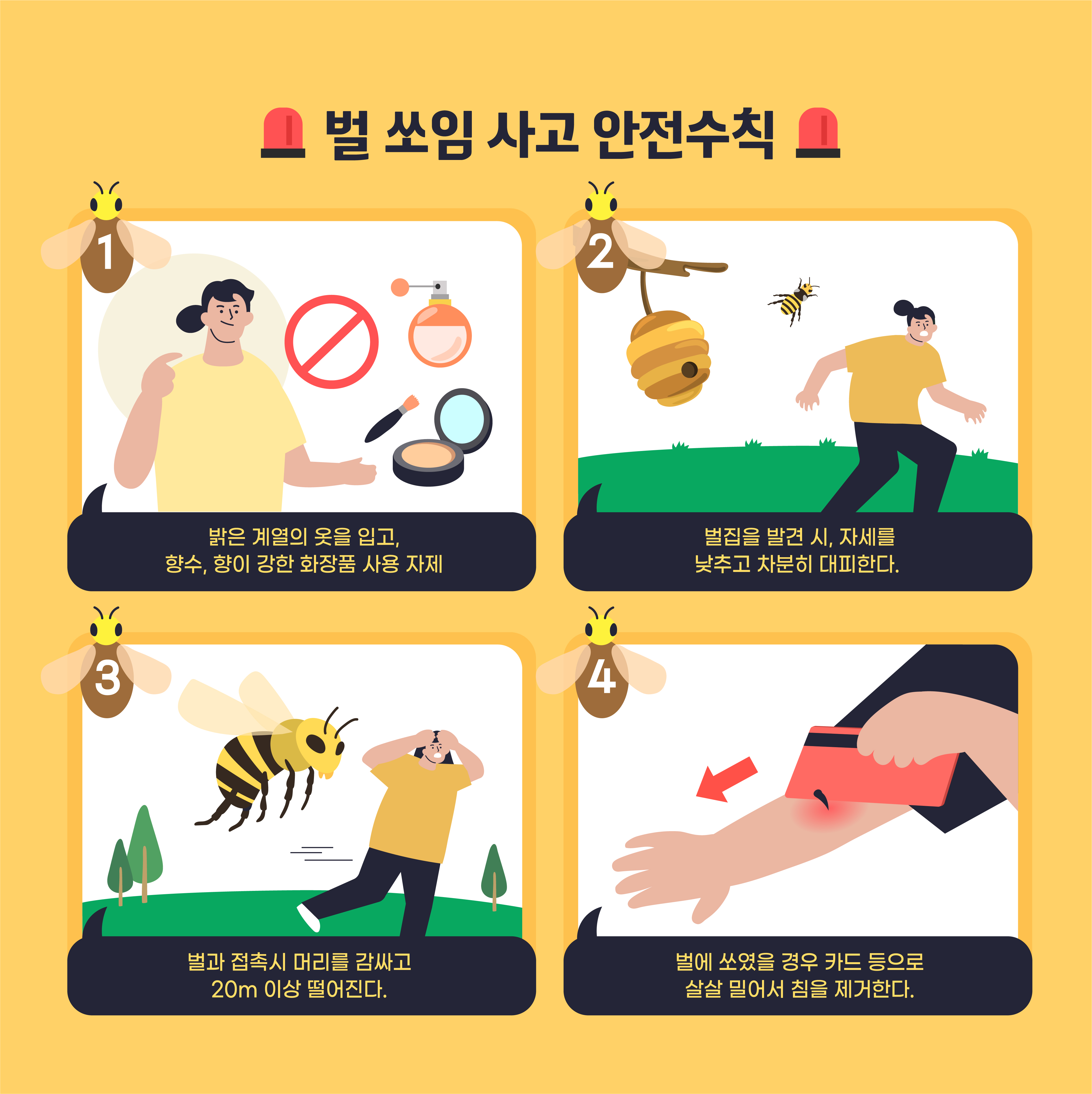 알레르기 뉴스