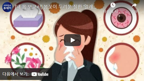 알레르기 뉴스