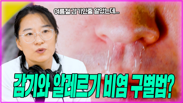 알레르기 뉴스